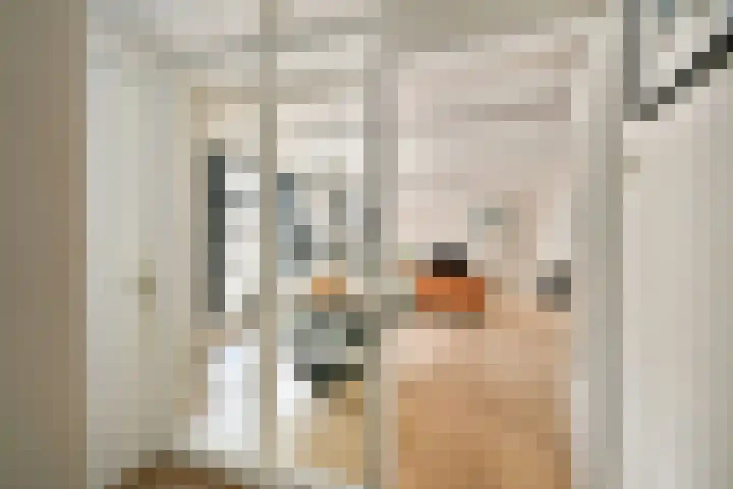 Sint Agnietenstraat 10 Amsterdam thumbnail 9