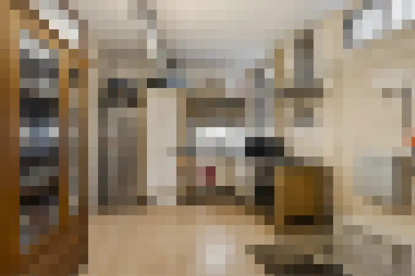 Sint Agnietenstraat 22 Amsterdam thumbnail 15