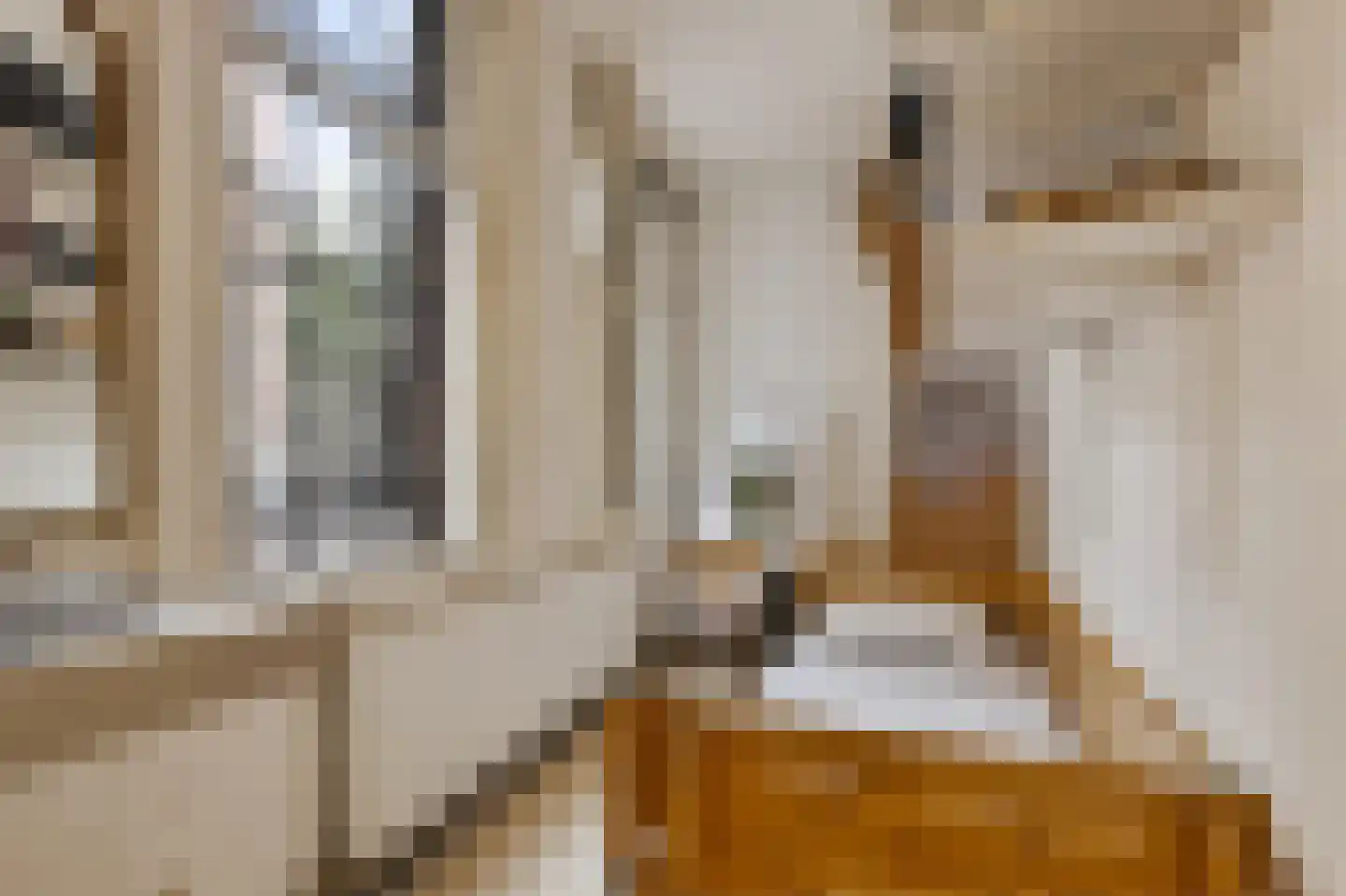 Sint Agnietenstraat 22 Amsterdam thumbnail 22