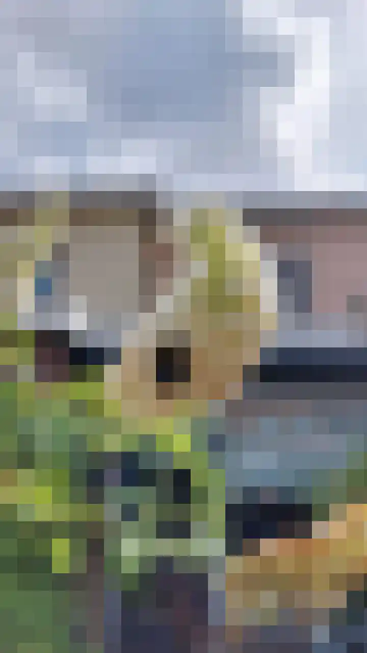 Sint Aldegondestraat 72 Delft thumbnail 34