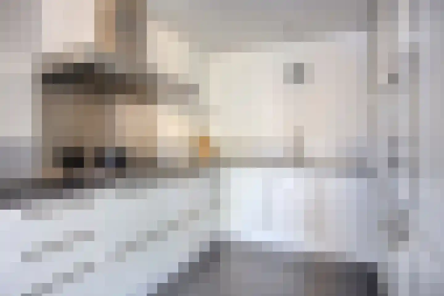 Sint Amandusstraat 34 Maastricht thumbnail 4