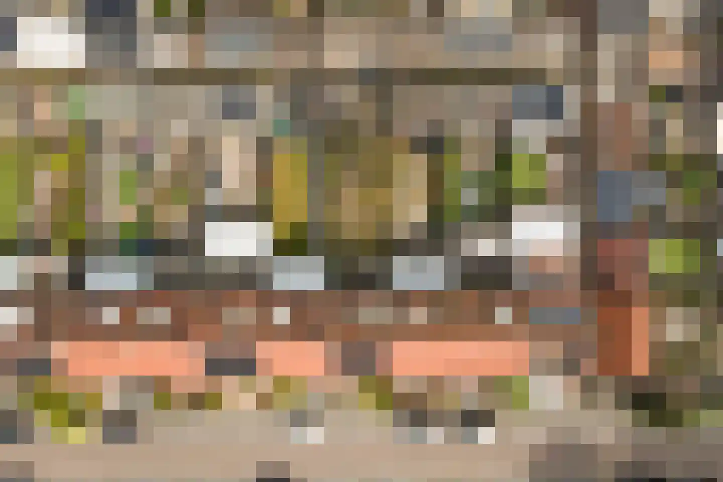 Sint Amandusstraat 8 Oosterhout thumbnail 40