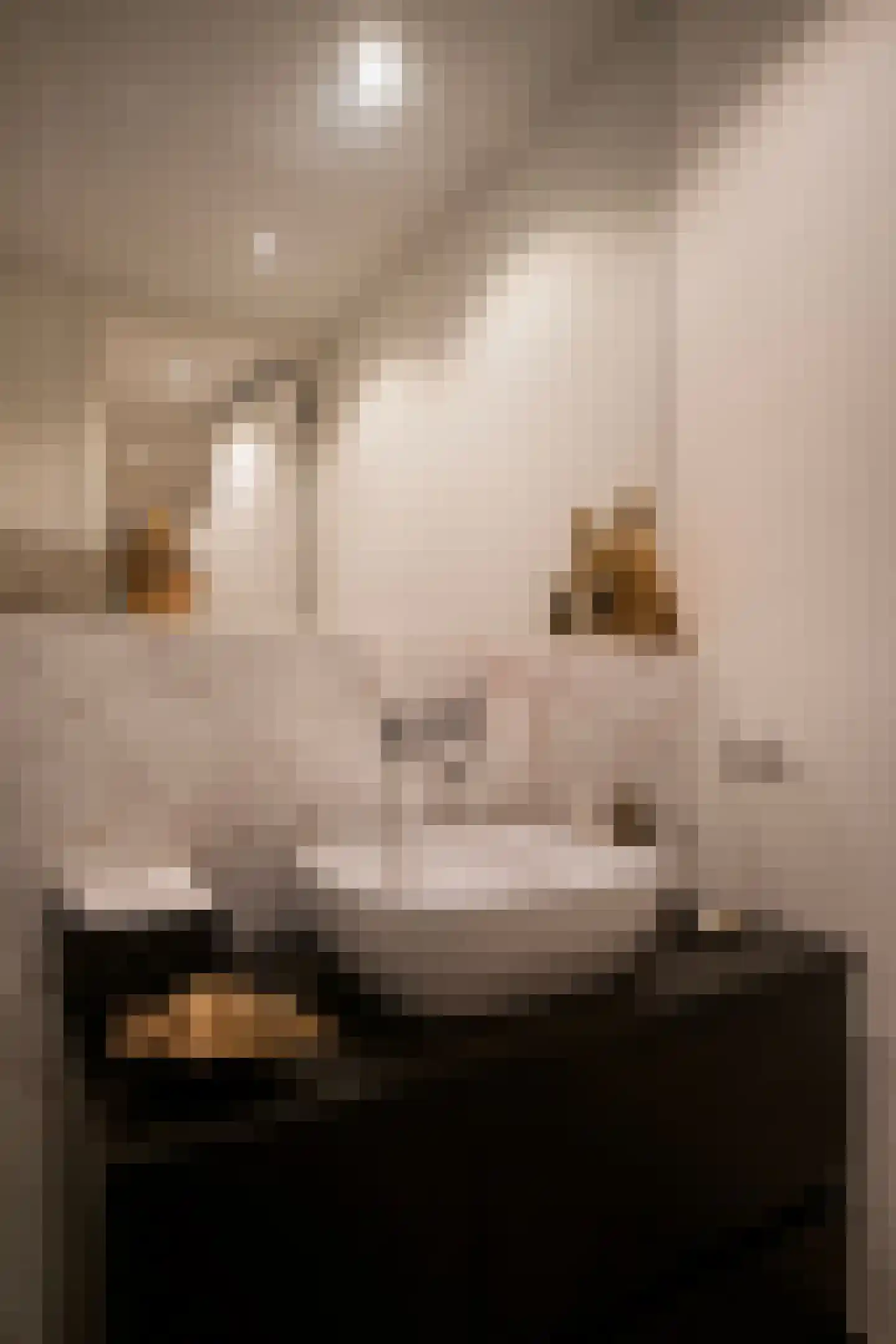 Sint Andriesstraat 33 Amersfoort thumbnail 39