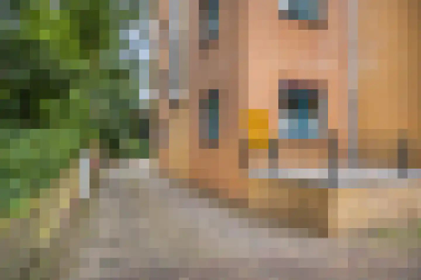 Sint Andriesstraat 33 Amersfoort thumbnail 46
