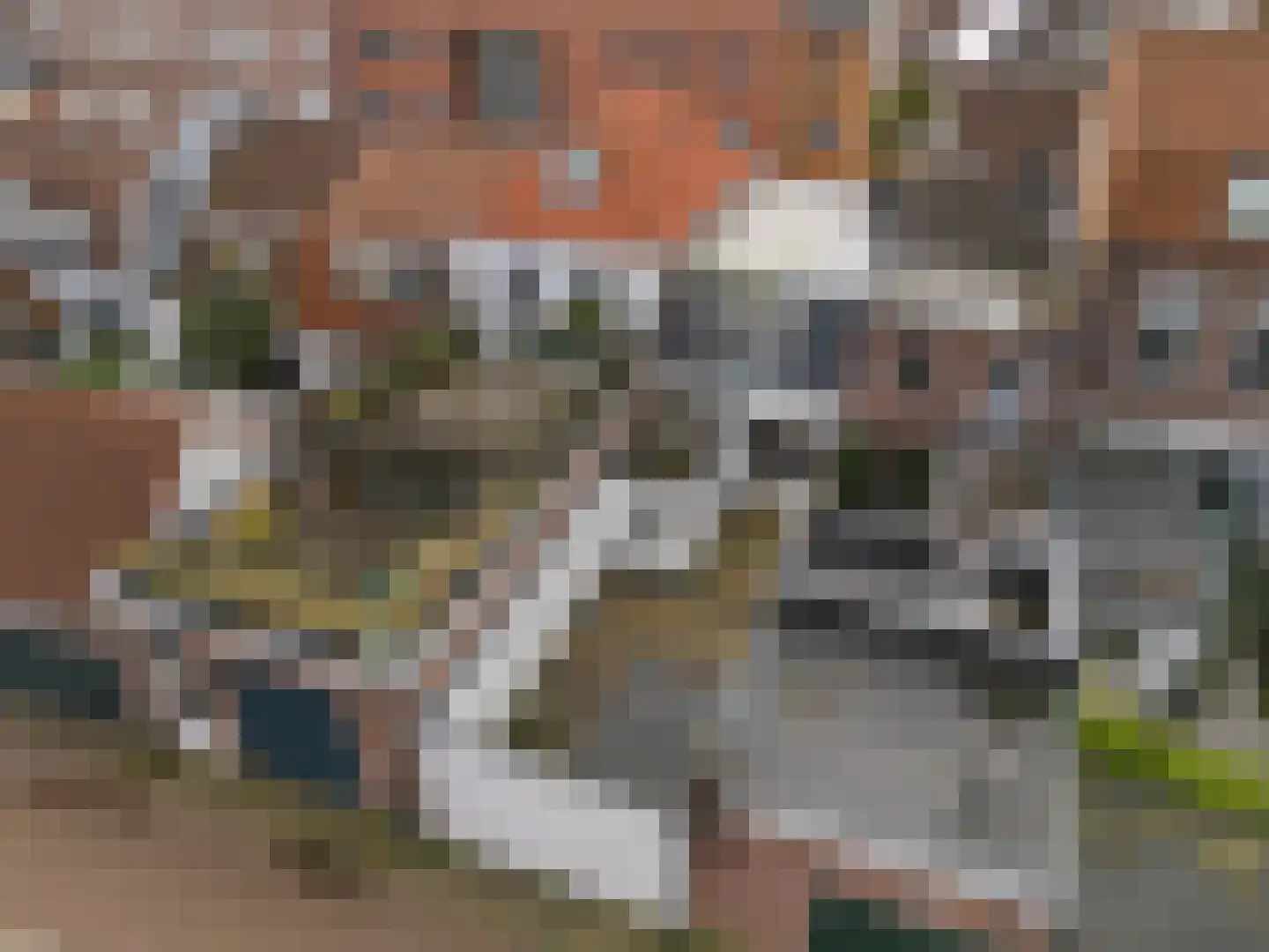 Sint Andriesstraat 8 Amersfoort thumbnail 23
