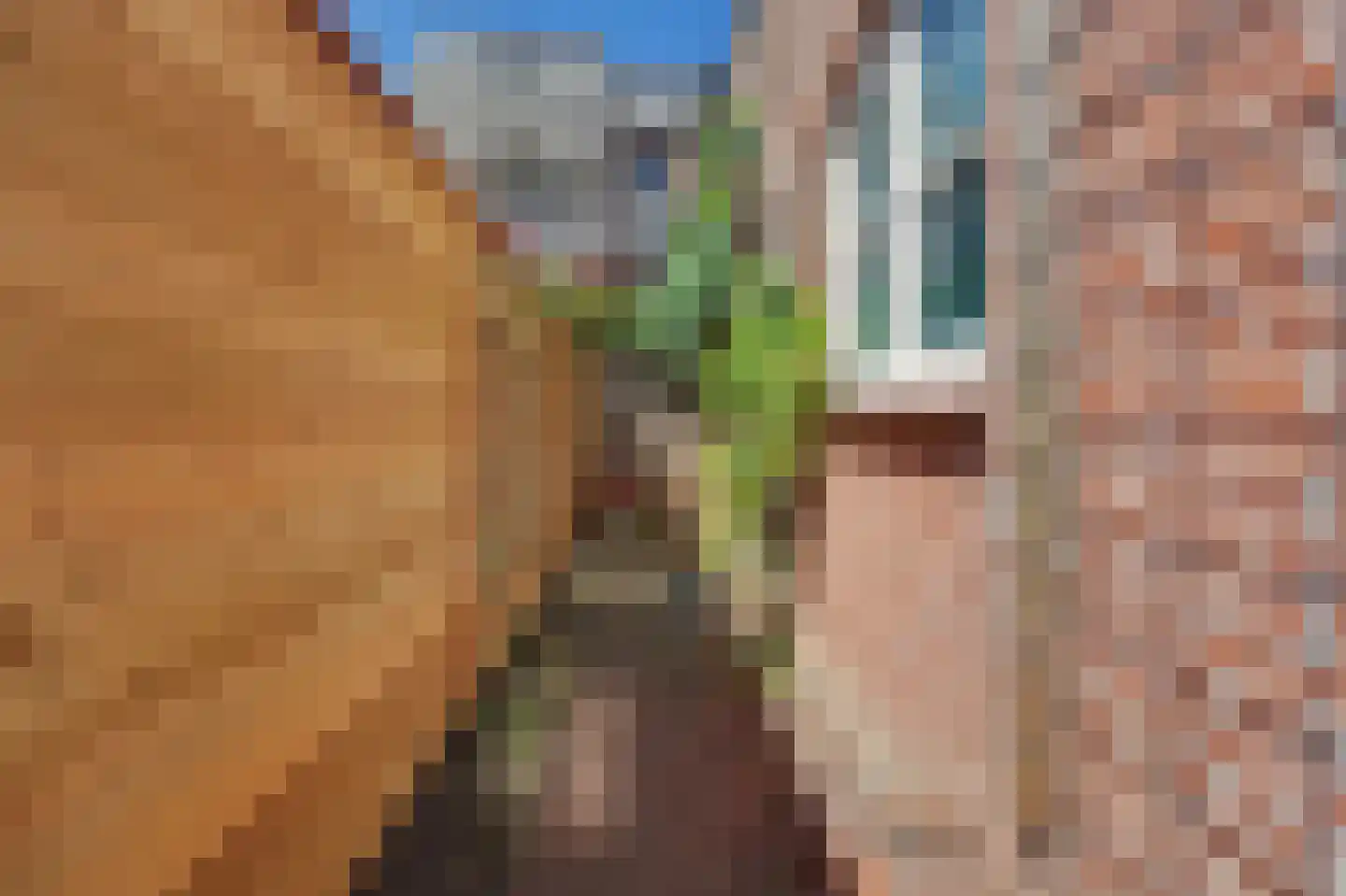 Sint Andriesstraatje 3 's-Hertogenbosch thumbnail 16
