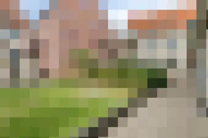 Sint Anna Zusterstraat 83 Schiedam thumbnail 16