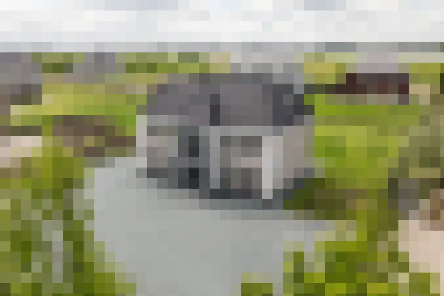 Sint Annabos 4 Almere thumbnail 11
