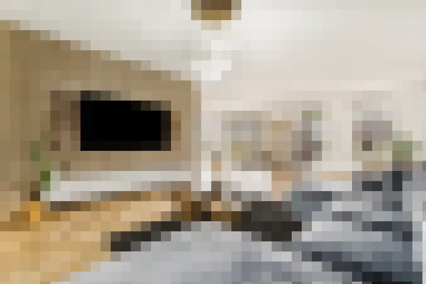 Sint Annabos 4 Almere thumbnail 33