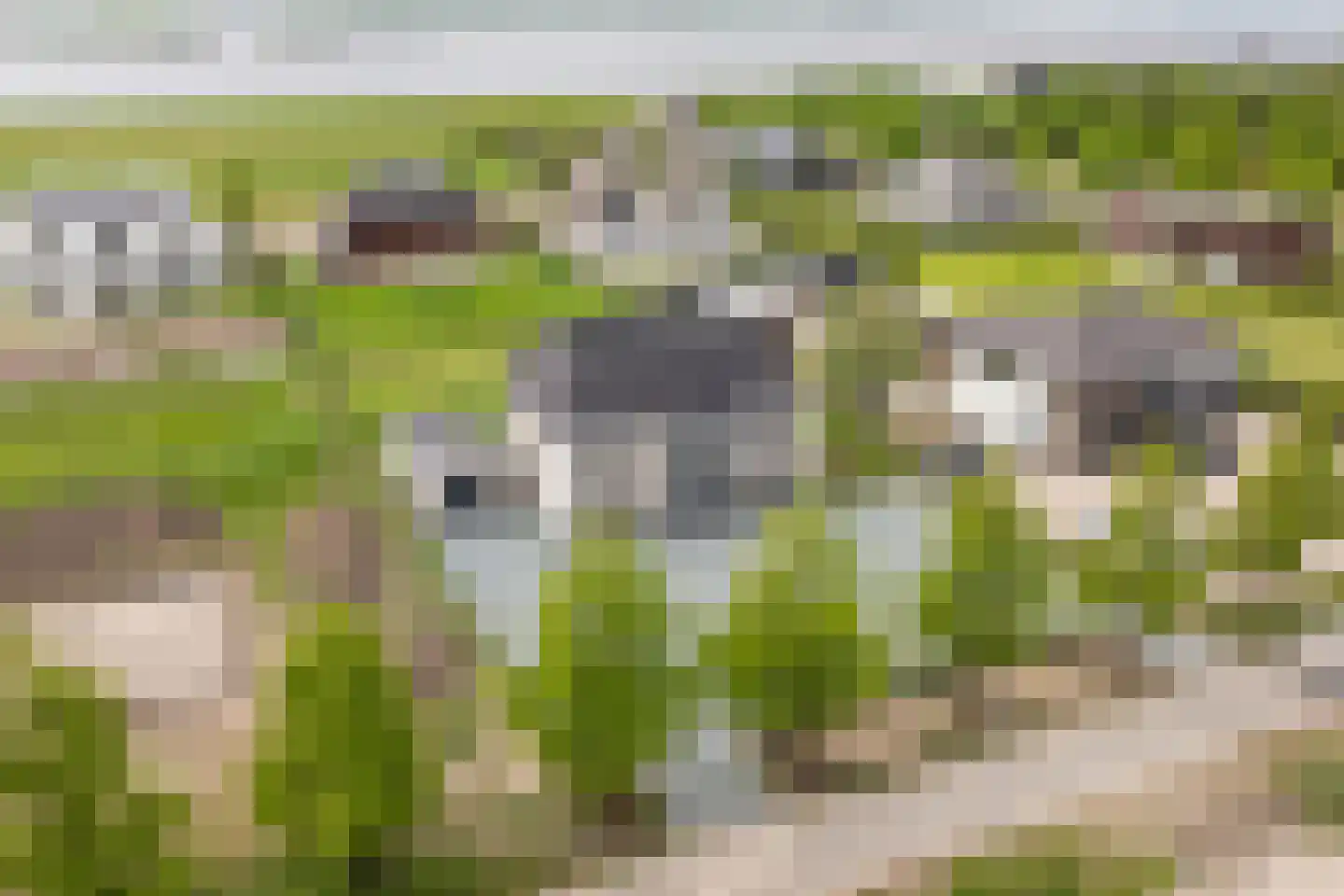 Sint Annabos 4 Almere thumbnail 6