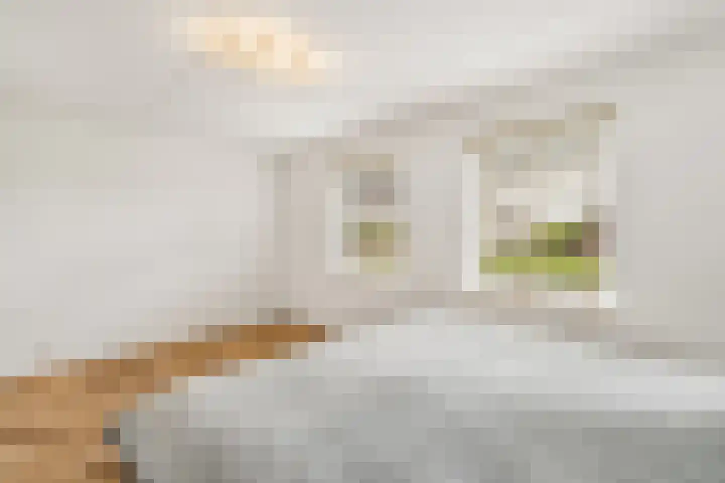 Sint Annabos 4 Almere thumbnail 63