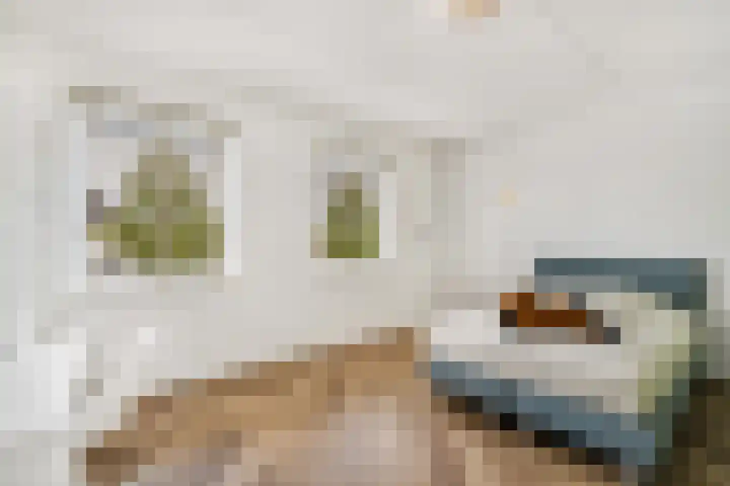 Sint Annabos 4 Almere thumbnail 69