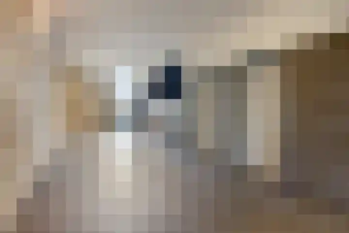 Sint Annadal 12 M Maastricht thumbnail 19