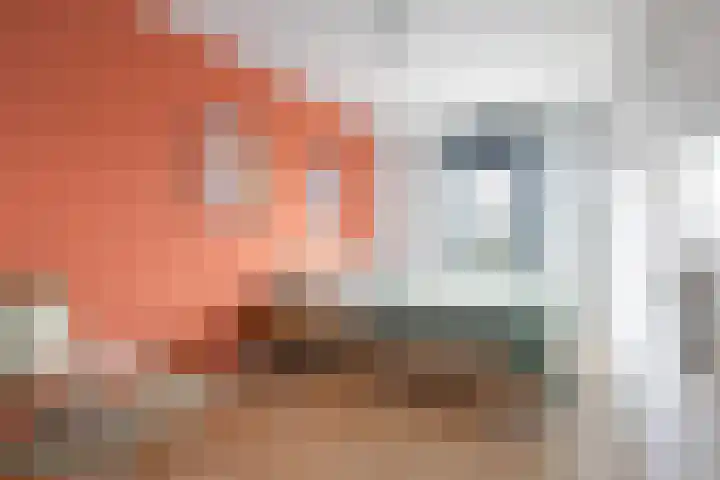 Sint Annadal 13 P Maastricht thumbnail 13