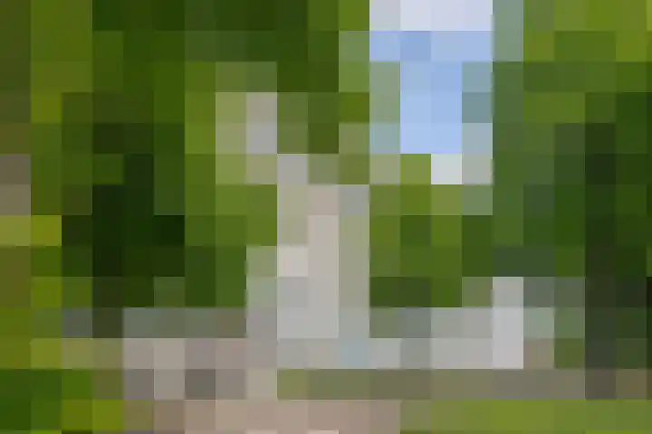 Sint Annadal 13 P Maastricht thumbnail 20