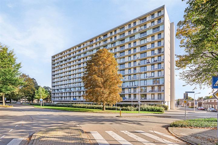 Sint Annadal 13K in Maastricht foto