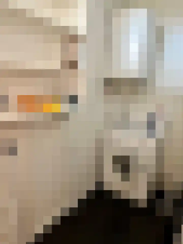 Sint Annadal 18 H Maastricht thumbnail 12
