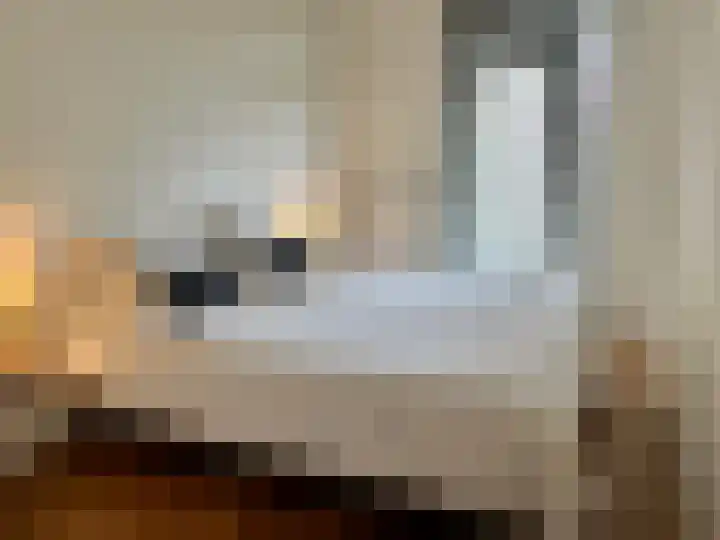 Sint Annadal 18 H Maastricht thumbnail 4