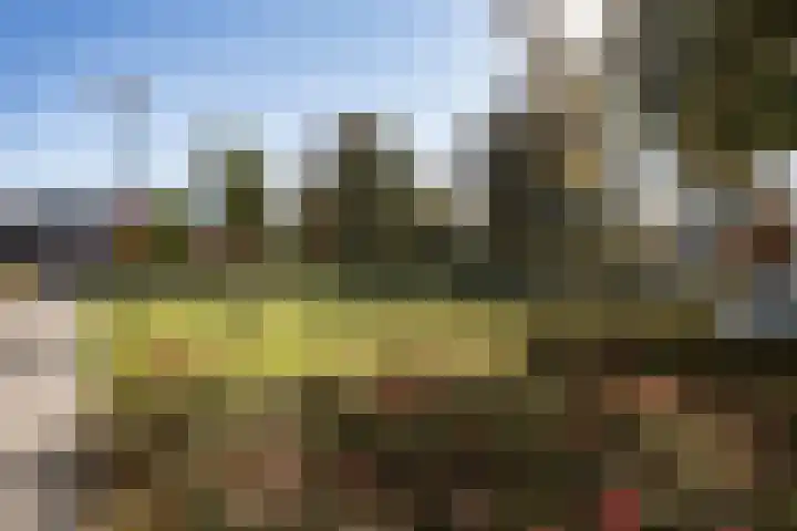 Sint Annahof 2 Zundert thumbnail 40