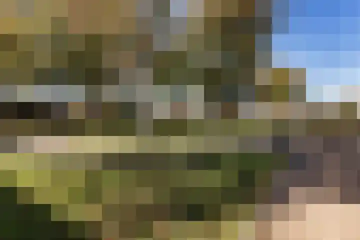 Sint Annahof 2 Zundert thumbnail 41