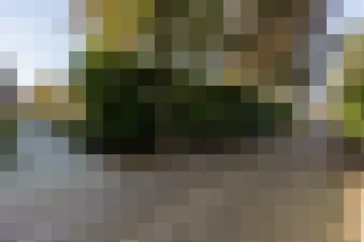 Sint Annahof 2 Zundert thumbnail 46