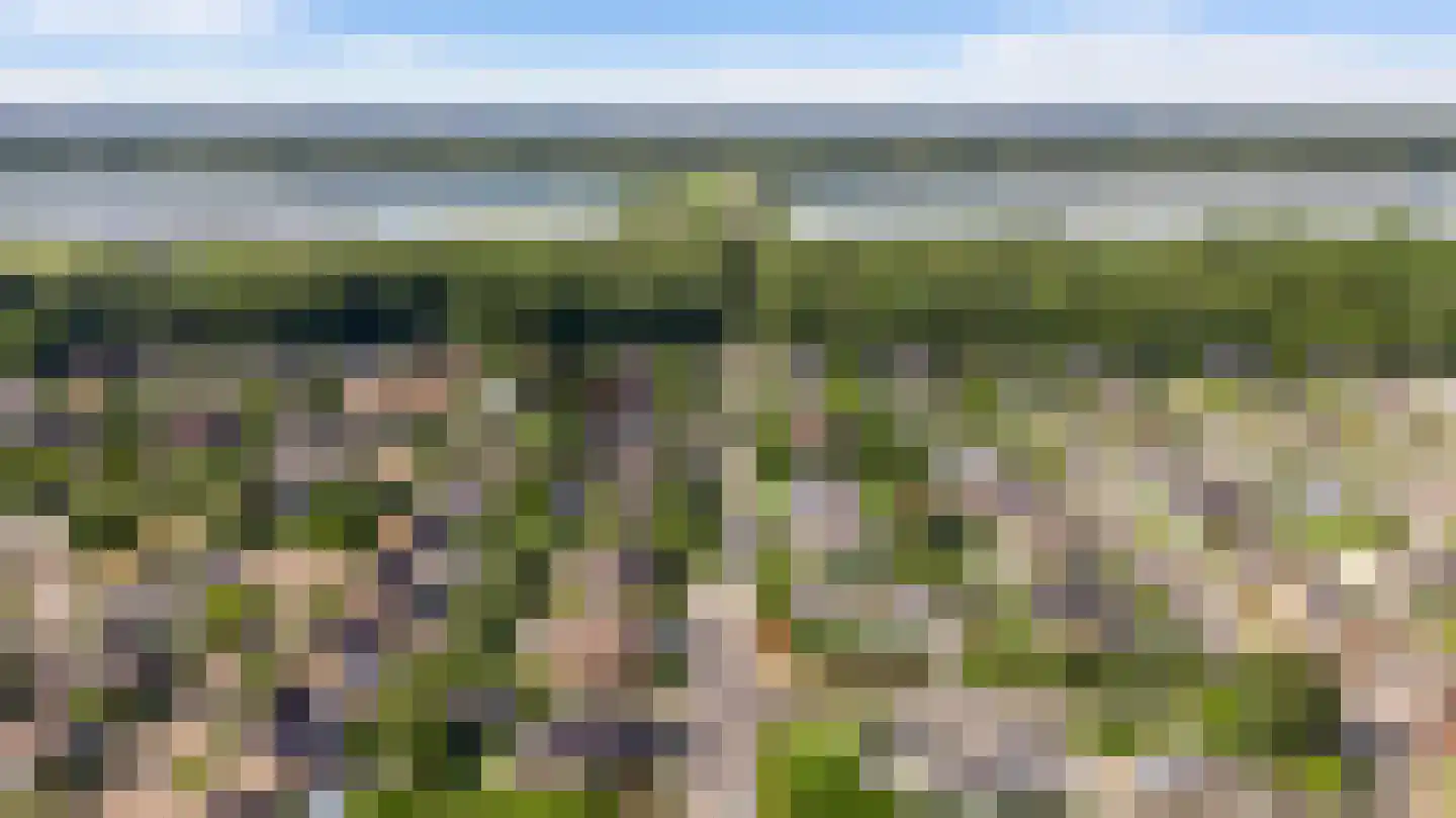 Sint Annalaan 8 Heel thumbnail 11