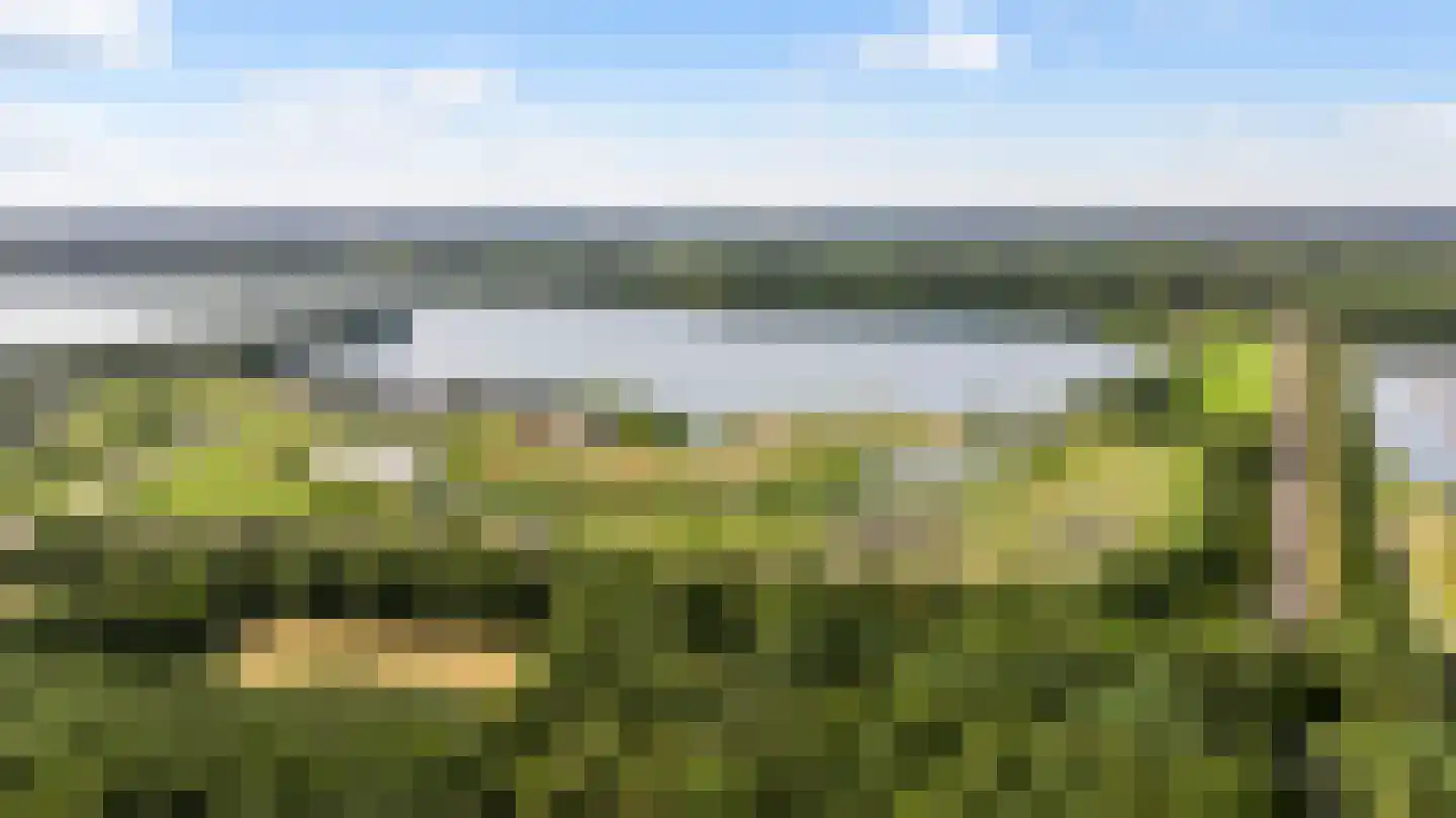 Sint Annalaan 8 Heel thumbnail 9