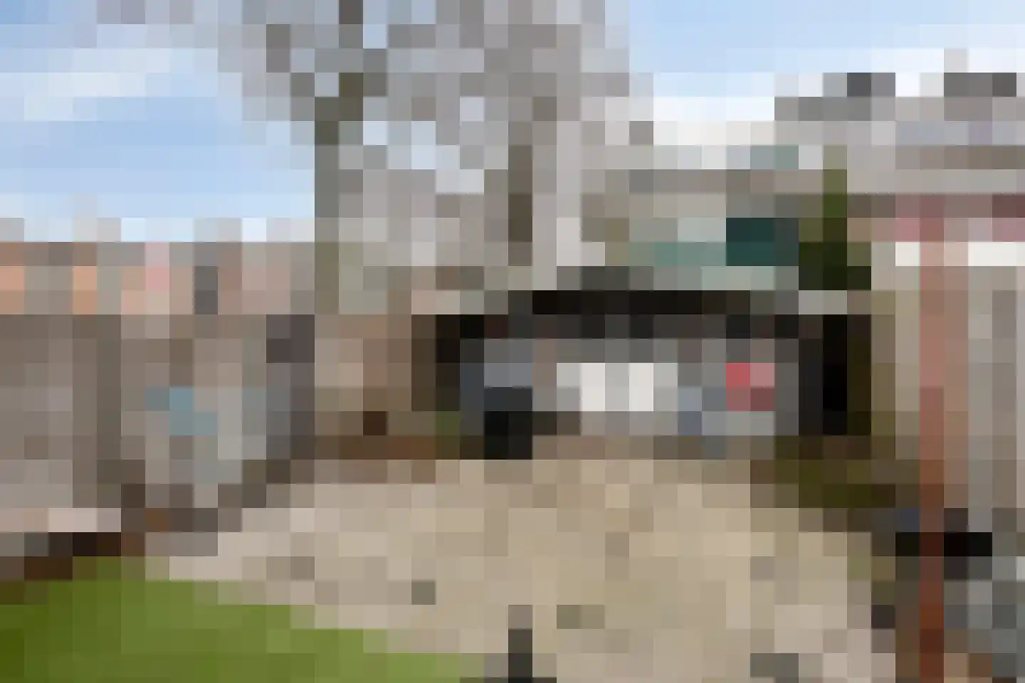 Sint-Annalandstraat 20 Rotterdam thumbnail 21