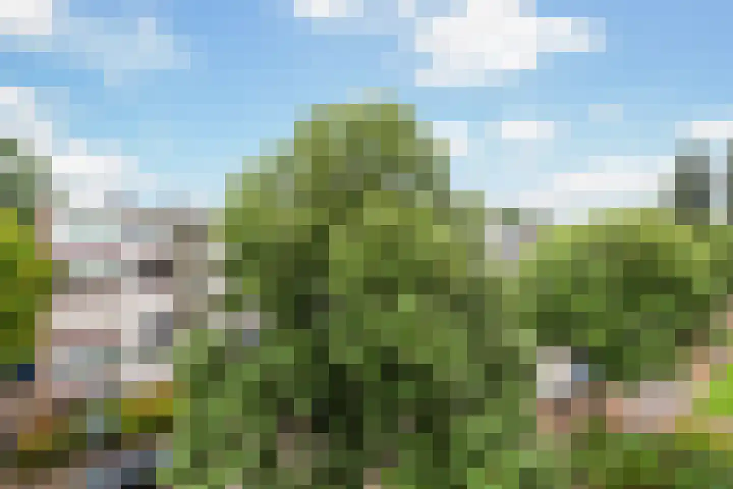 Sint-Annalandstraat 25 Rotterdam thumbnail 21