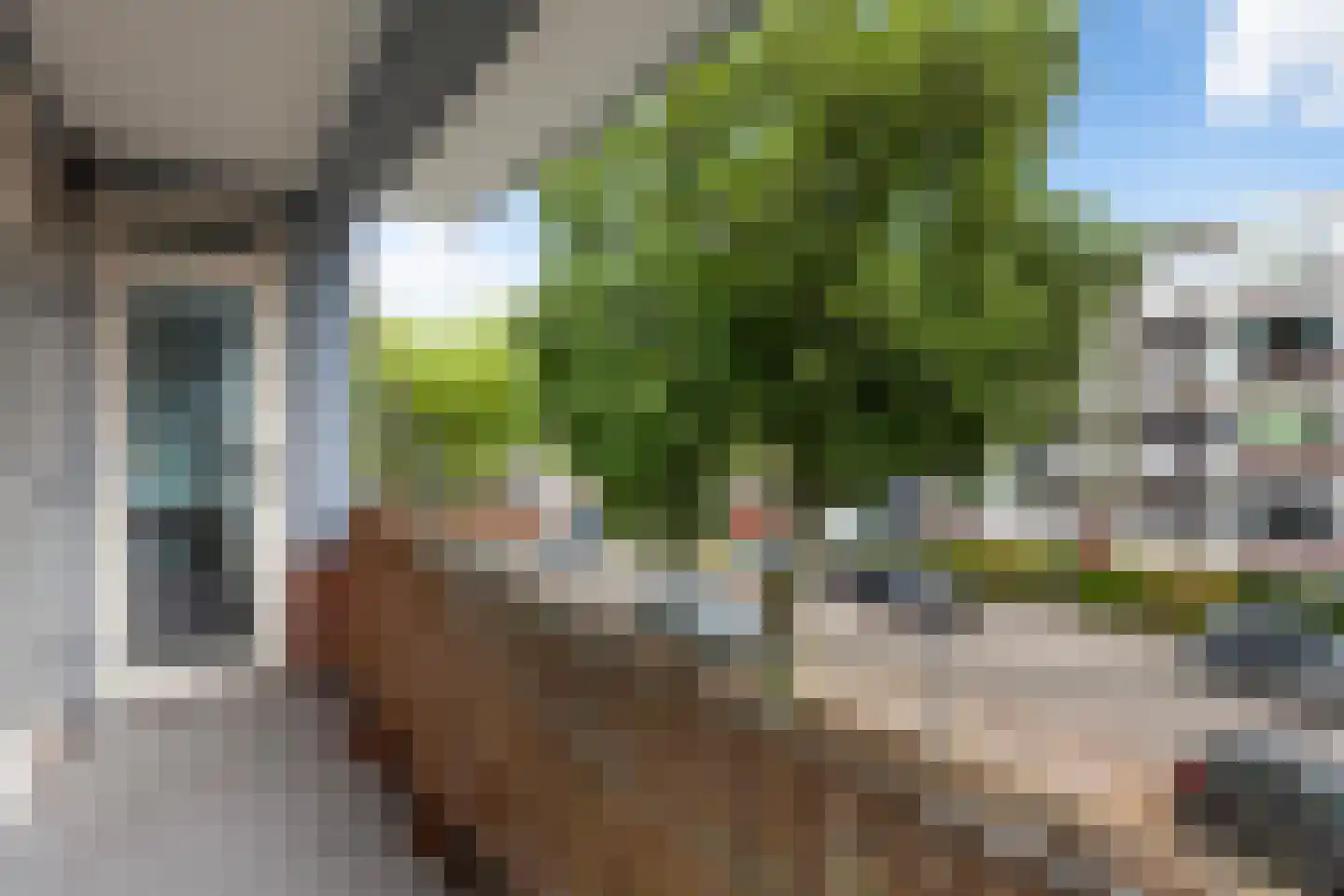 Sint-Annalandstraat 29 Rotterdam thumbnail 28