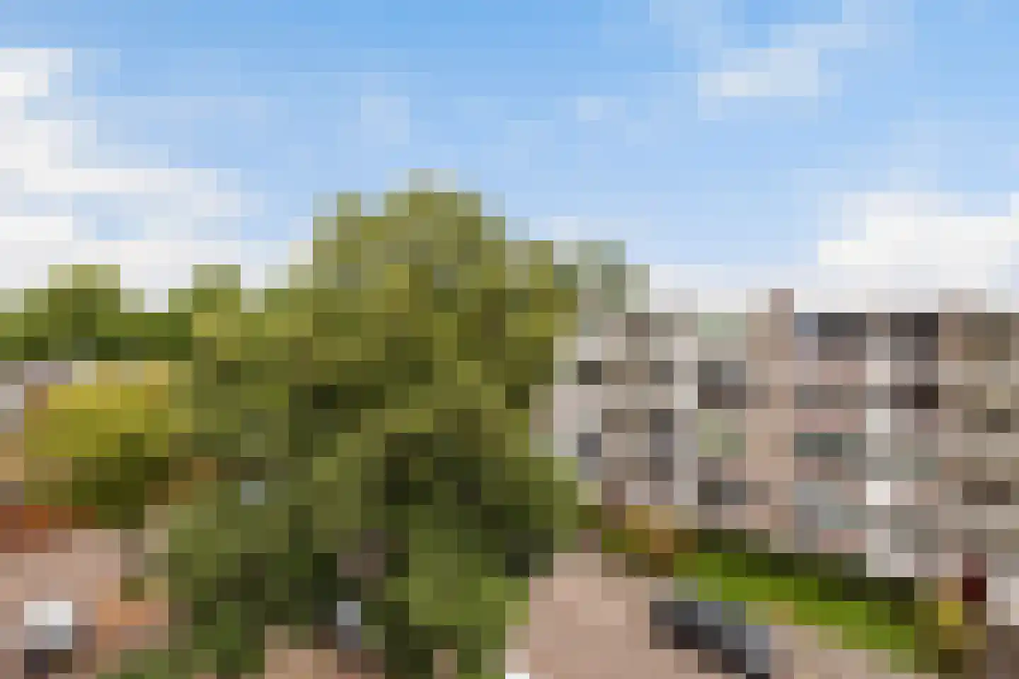 Sint-Annalandstraat 41 Rotterdam thumbnail 16