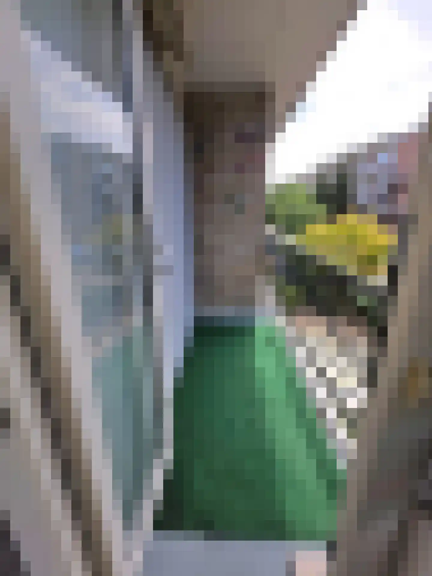Sint-Annalandstraat 6 Rotterdam thumbnail 30