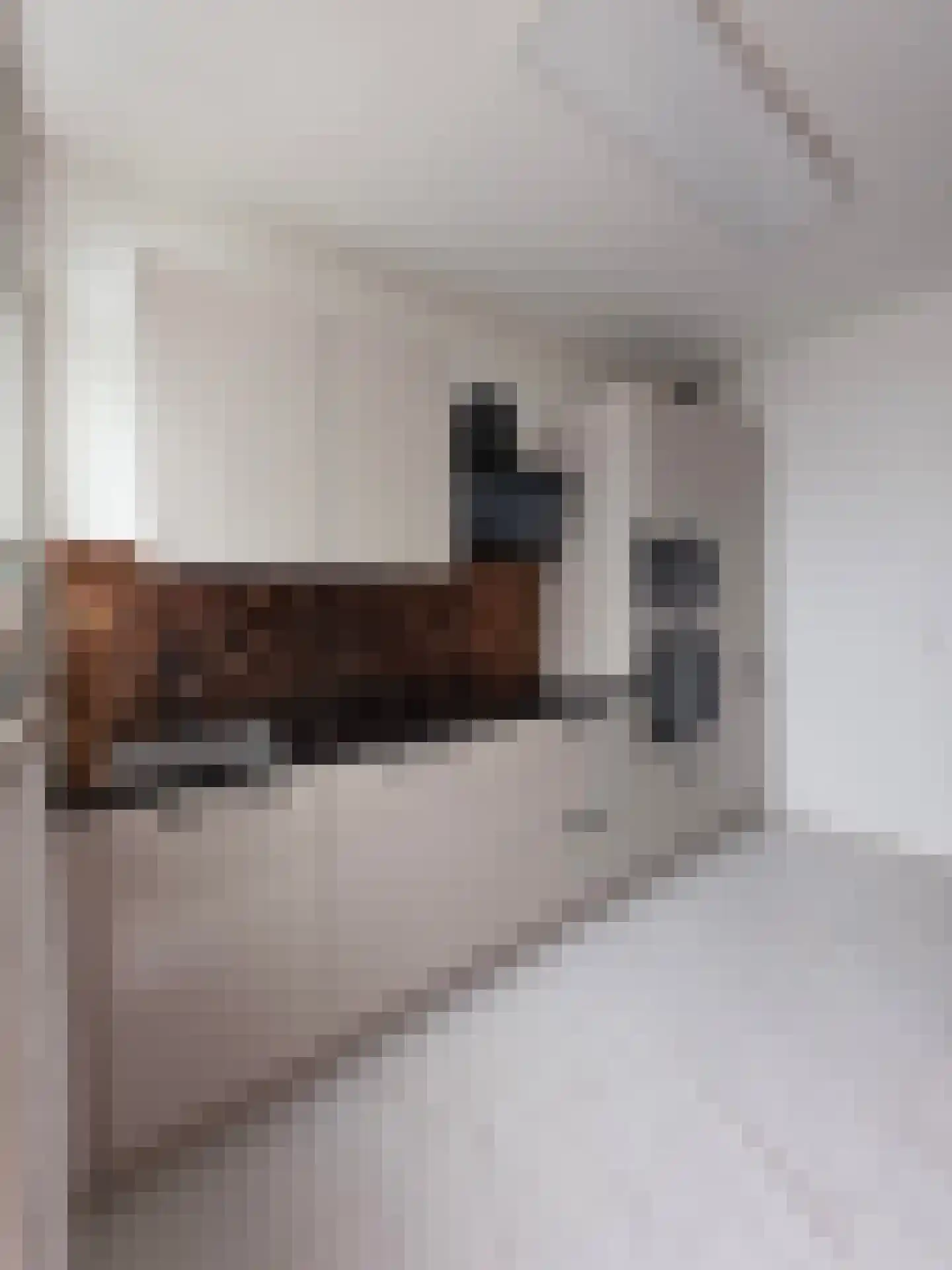 Sint-Annalandstraat 6 Rotterdam thumbnail 8