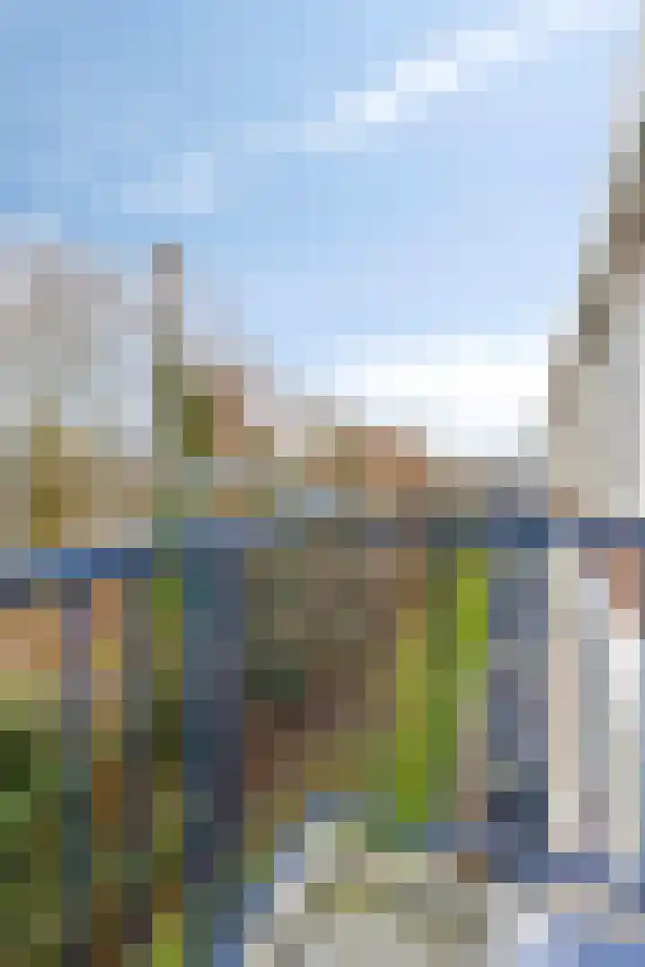 Sint-Annalandstraat 70 Rotterdam thumbnail 12