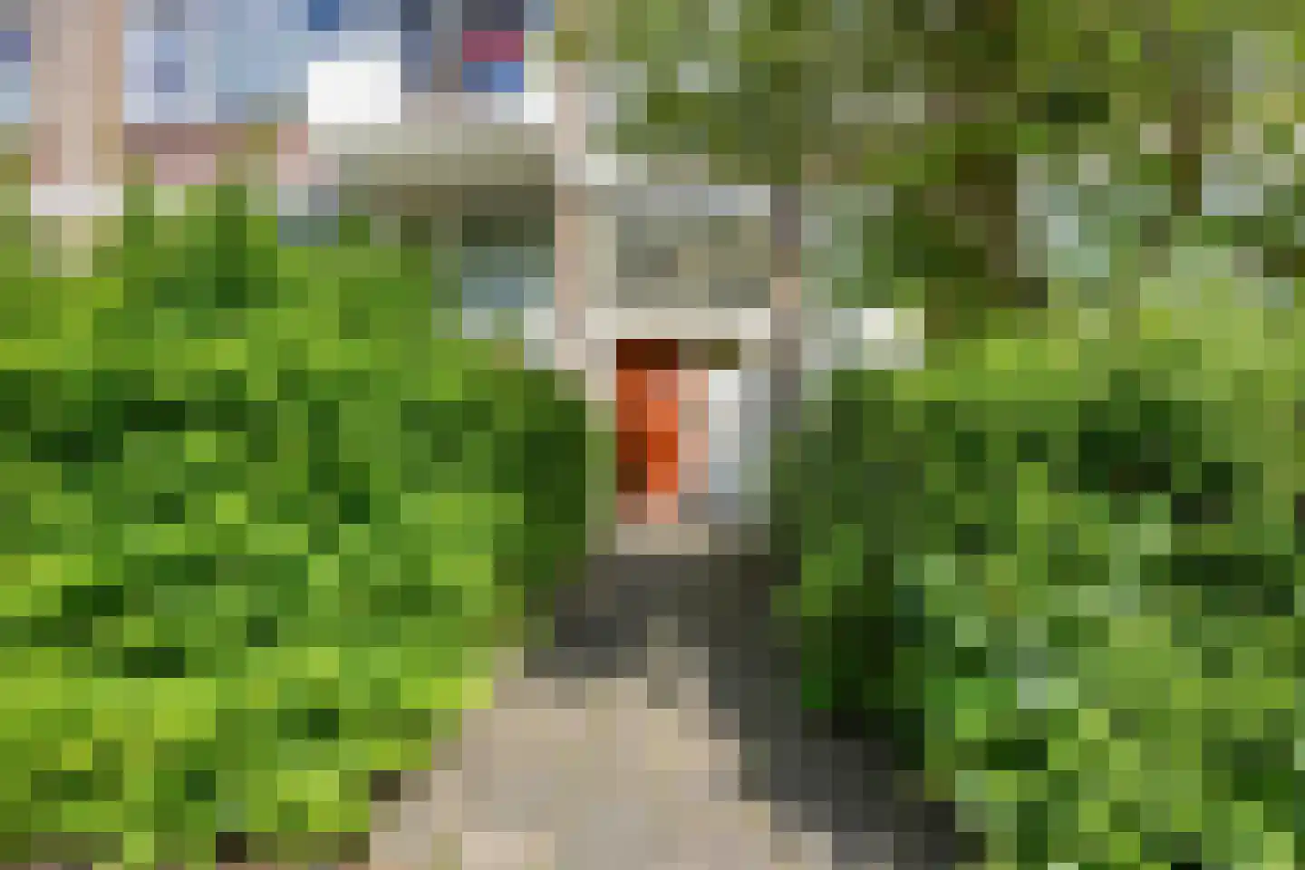 Sint-Annalandstraat 76 Rotterdam thumbnail 34