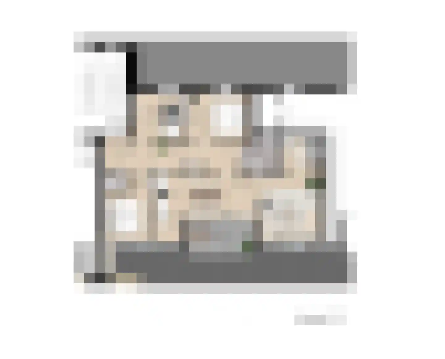 Sint Annaplein 14 Oudenbosch thumbnail 4