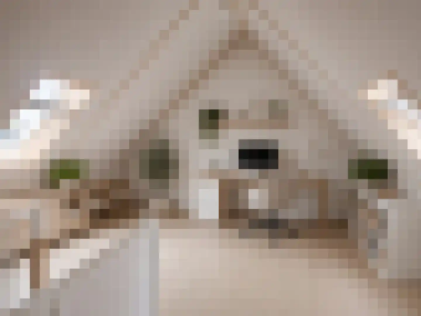 Sint Annaplein 27 Oudenbosch thumbnail 9