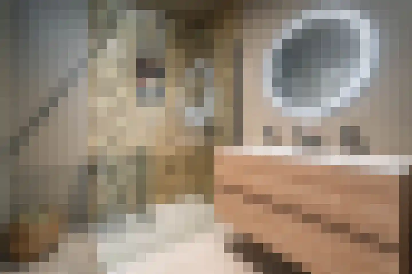 Sint Annaplein 3 e Baarle-Nassau thumbnail 23
