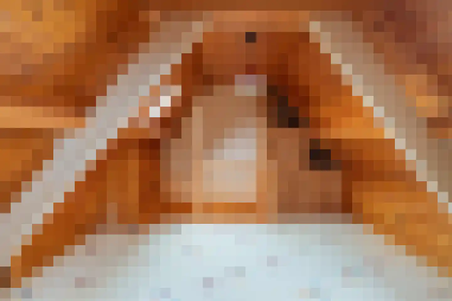 Sint Annastraat 15 Tegelen thumbnail 25