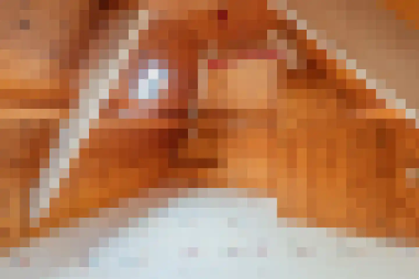 Sint Annastraat 15 Tegelen thumbnail 26