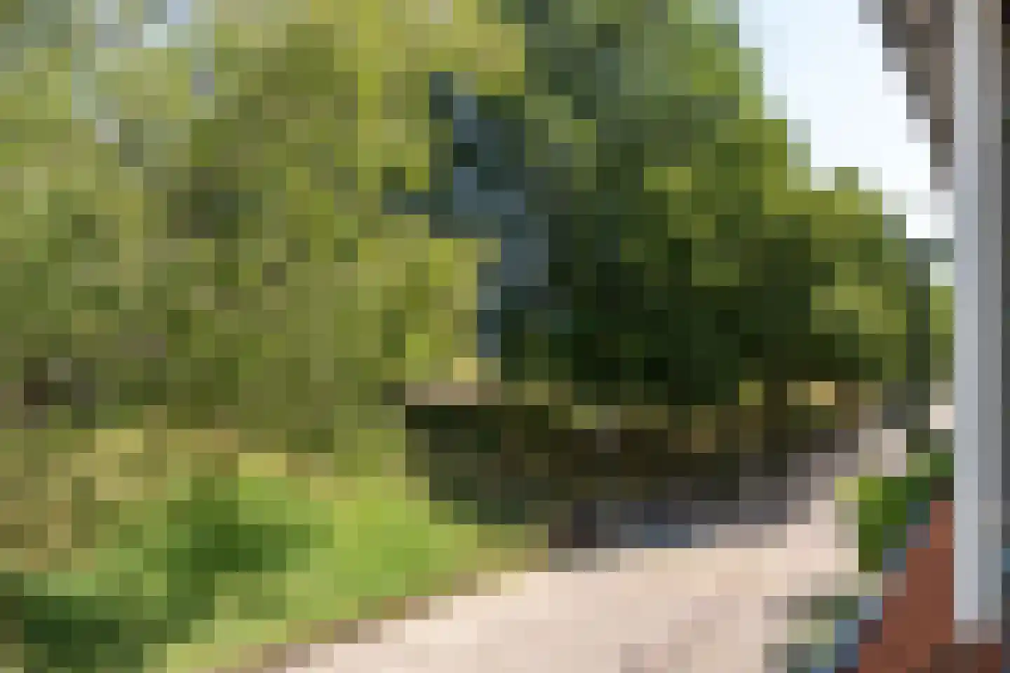 Sint Annastraat 22 Amersfoort thumbnail 39