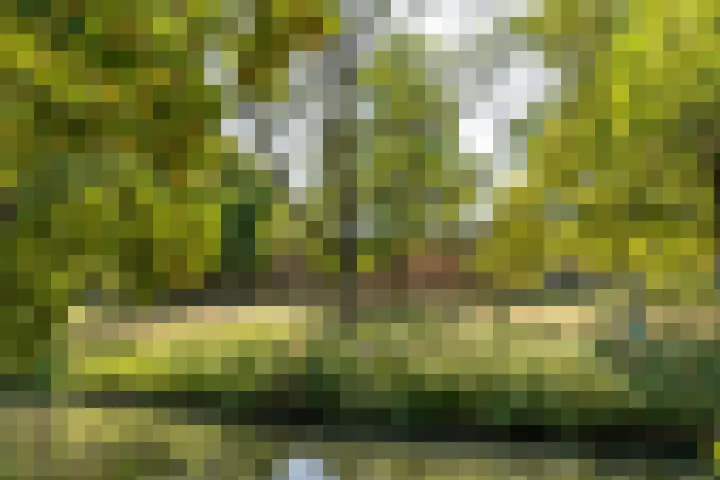 Sint Annastraat 22 Amersfoort thumbnail 46