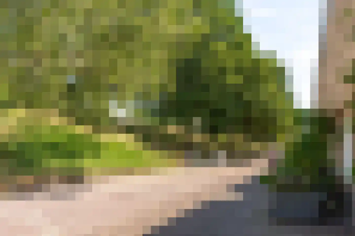 Sint Annastraat 22 Amersfoort thumbnail 8