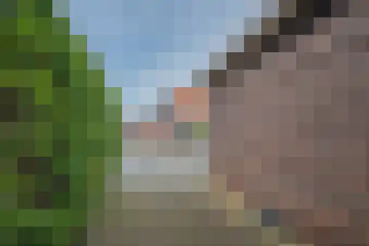 Sint Annastraat 25 Tegelen thumbnail 19