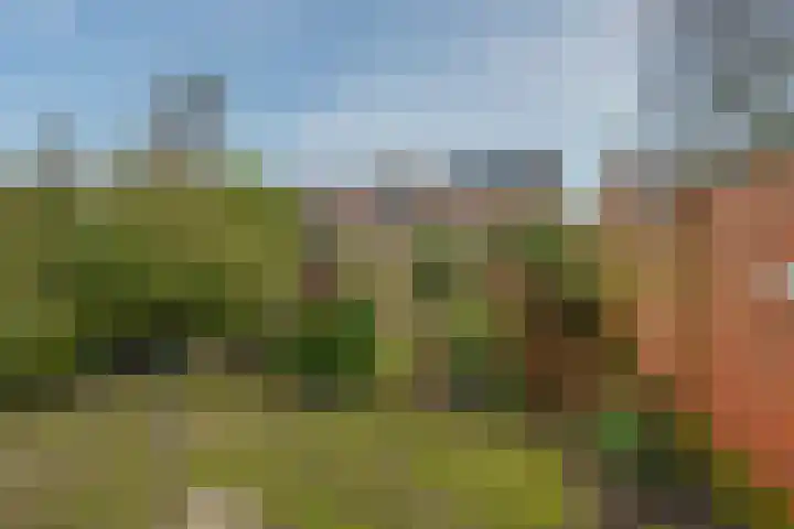Sint Annastraat 25 Tegelen thumbnail 22