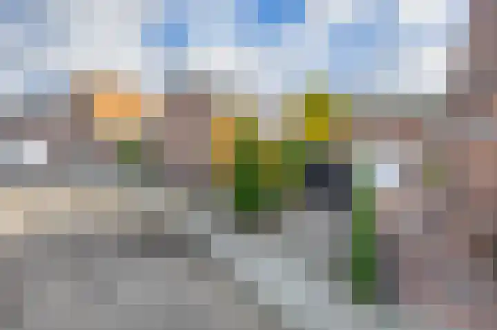 Sint Annastraat 27 Tegelen thumbnail 40