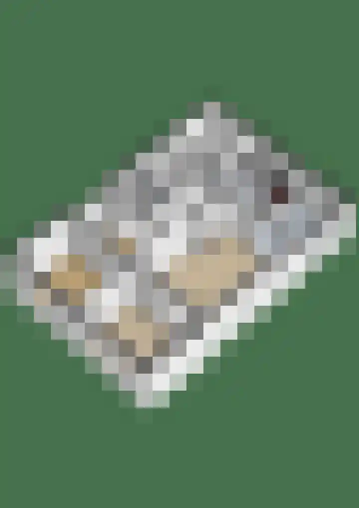 Sint Annastraat 27 Tegelen thumbnail 44