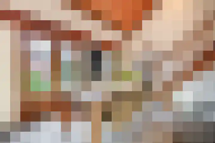 Sint Annastraat 27 Tegelen thumbnail 7