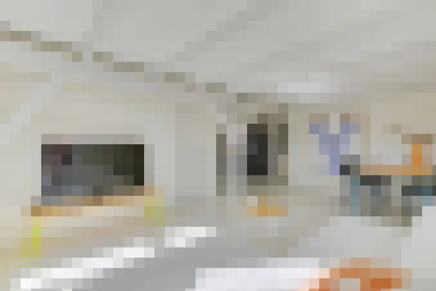 Sint Annastraat 4 B Alkmaar thumbnail 19