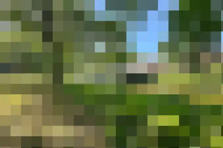 Sint Annastraat 41 Amersfoort thumbnail 26